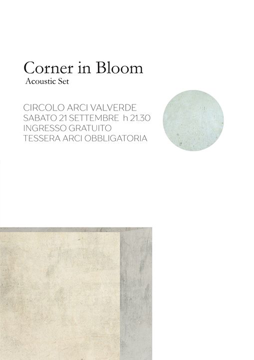 Concerto - Corner in Bloom